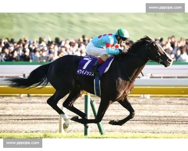 去年今日，32.5 秒定江山！Do Deuce 卫冕秋季天皇赏